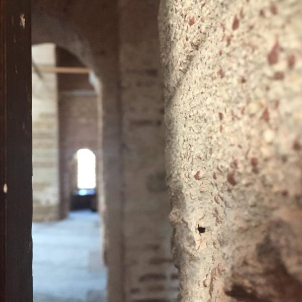 العرب… أبعد الأمم عن سياسة الملك