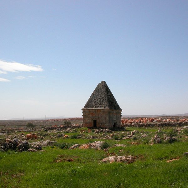 مدارج الوحدة