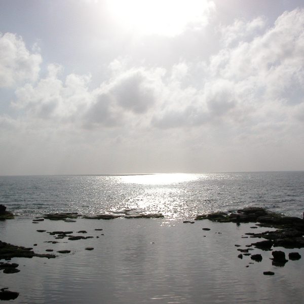 ماذا بعد نقد المنقود؟