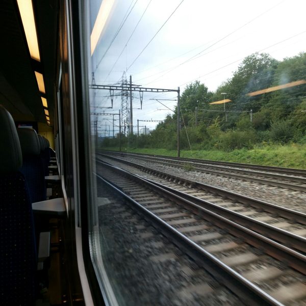 الحقُّ في الكذب في النُظُم السّياسية