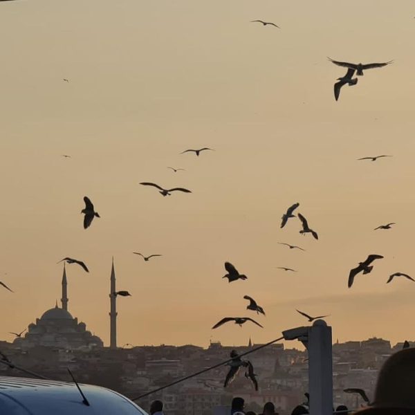 على هامش الثورات، وللتصوف قيمه الأخلاقية