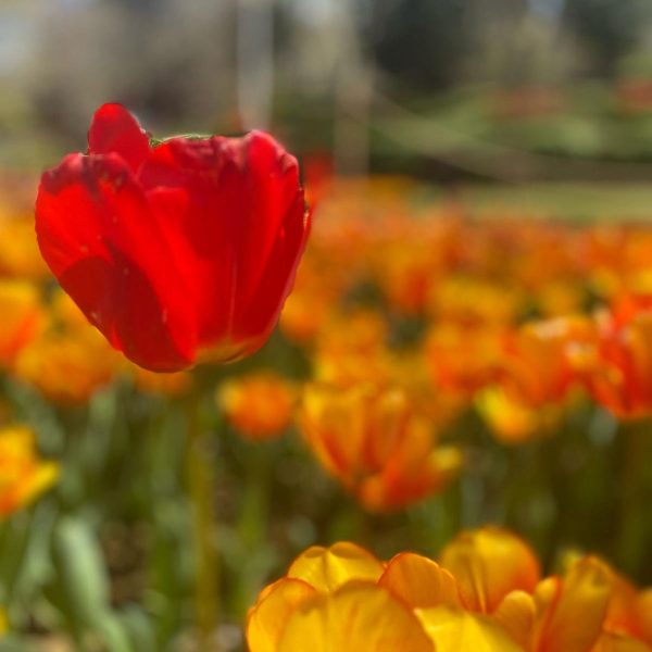 اِرحل بقلبك قبلما فقدانه..